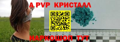 меф Кингисепп