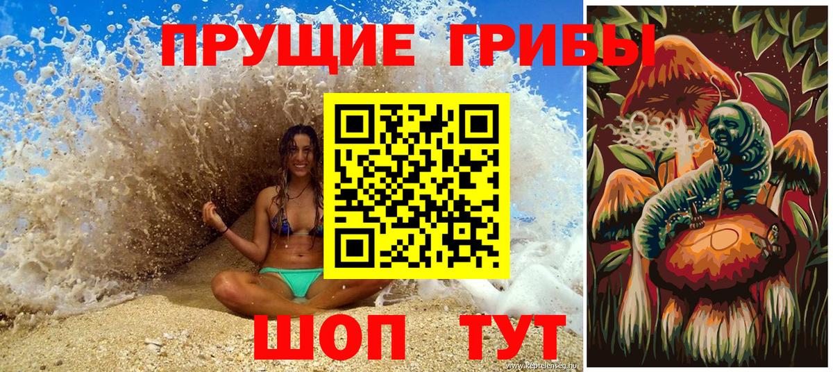 Псилоцибиновые грибы Psilocybe Кохма